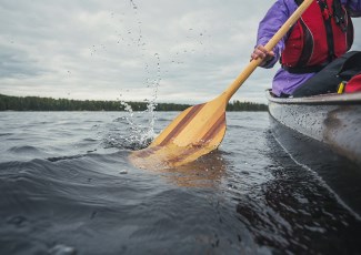 paddle in water