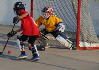 image of ball hockey