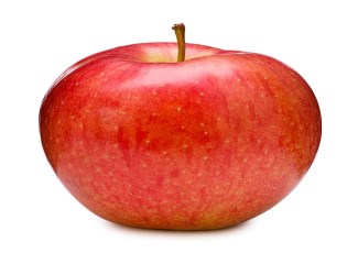 picture of an apple