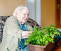 Elderly woman planting