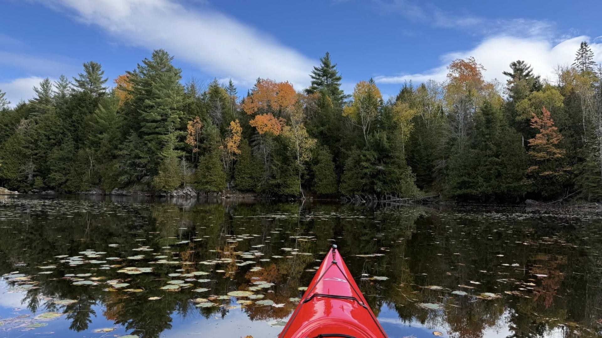 kayak