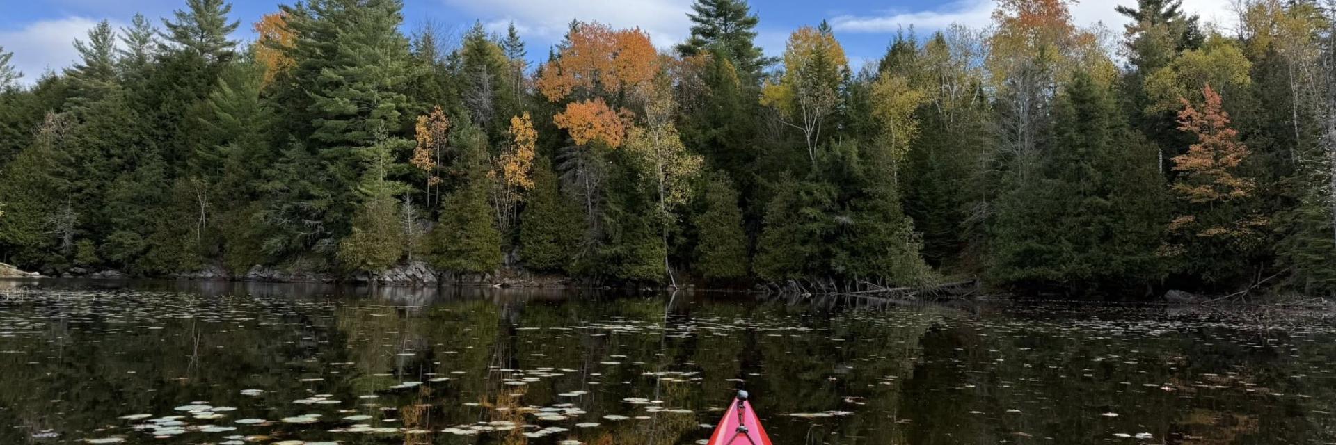 tip of kayak in lake with trees
